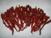 cayenne pepper