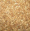 High Quality Roasted Buckwheat Kernel