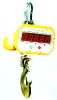 Electronic Mechanical Hook Scale