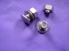 stainless steel carriage bolt