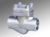 Forged Check Valve