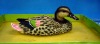 floating duck(p.u floating duck for garden decoration,waterfowl crafts),plastic floating crafts