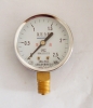 oxygen  pressure gauge