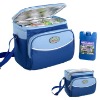 cooler bag,picnic bag,cooling bag