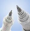 All Aluminum Alloy Conductor/AAAC cable