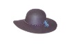 wool felt hat(100% wool)