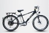 Electric Bicycles