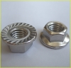 stainless Flange Nuts