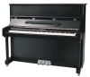 GLOSSY VERTICAL PIANO UP120A1