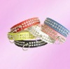 pet collar, dog collar, cat collar, pet products