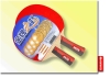 gold medal series table tennis racket