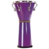 Djembe Drum (musical instrument-percussion)