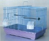 plastic bird cage