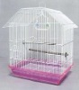 plastic bird cage