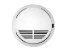 Carbon Monoxide Detector-ABS-21