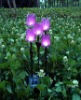 Solar fiber flowers/flower solar light /solar garden light /solar outdoor light