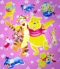 baby polar fleece blanket(two-sided brushed fleece blanket)