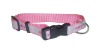 dog collar/pet collar