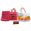 PP non woven bag