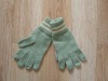 Winter Gloves (SDC10631)