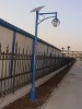 Solar Street Light