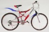 mountain bicycle mountain bike