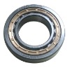 cylindrical roller bearing