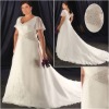 Stunning  Wedding Dress ps040