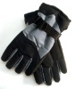 winter glove