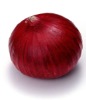 Chinese original fresh red onion