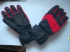 Gloves for Skiing