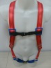 Body Harness