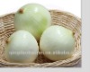 chinese fesh frozen yellow onion