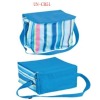 Picnic bag/camping bag/cooler bag