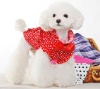 Pet Cloth/Pet Clothes And Accessories