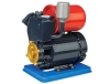 AUPS Series Self-priming Peripheral Pump