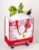 Non-woven shopping bags