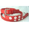 Designer Dog Collar, Dog Collars