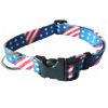 Designer Dog Collar, Dog Collars