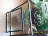 insulated glass