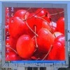 P16 Outdoor LED Display