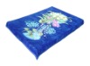 blanket(Competitive price directly manufacturer)