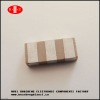 Ceramic resonator (chip type)