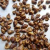 Dried Silkworms Pupae