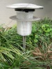 Solar Garden path light