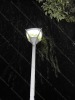 Solar Street Light