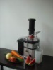 electric tomato juicer (squeezer)