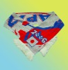 (BR01386) Knitted sports scarf