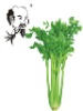 Celery powder