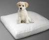 memory foam dog bed